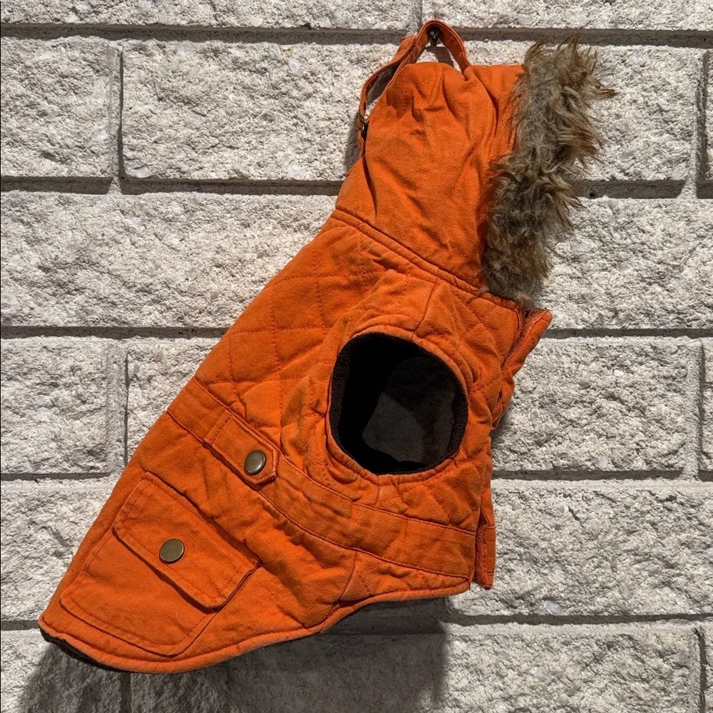 Fabdog keep your